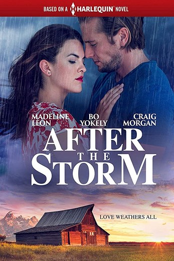 دانلود فیلم After the Storm 2019