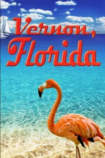 دانلود فیلم Vernon Florida 1981