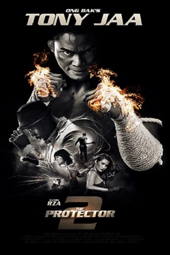 دانلود فیلم The Protector 2 2013