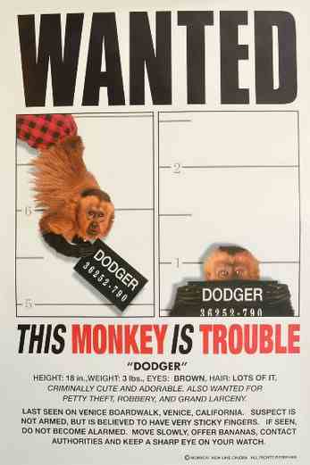 دانلود فیلم Monkey Trouble 1994