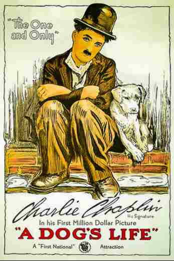 دانلود فیلم A Dogs Life 1918