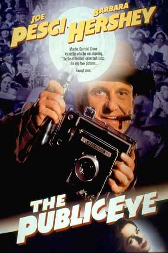 دانلود فیلم The Public Eye 1992