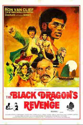 دانلود فیلم The Black Dragons Revenge 1975