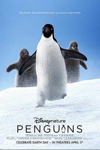 دانلود فیلم Penguins 2019