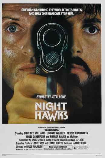 دانلود فیلم Nighthawks 1981