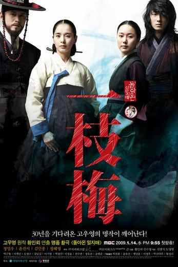 دانلود سریال The Return of Iljimae 2009 دوبله فارسی